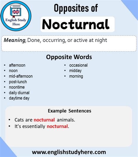 nocturnal opposite word|diuturnal meaning.